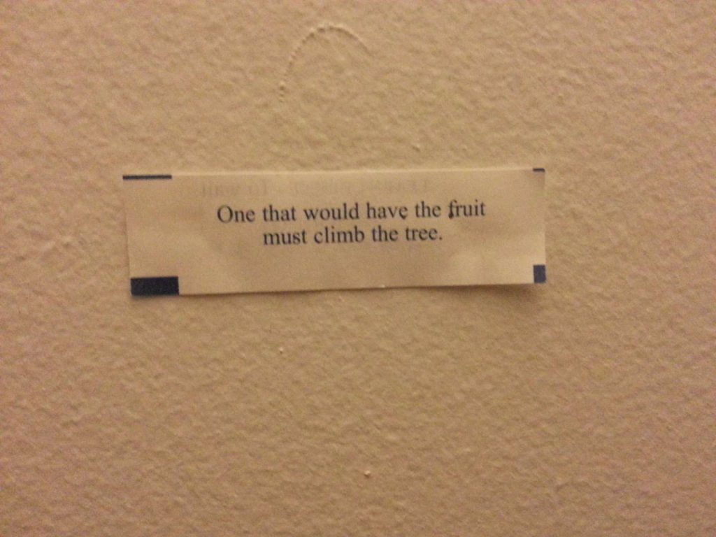 best fortune teller quotes