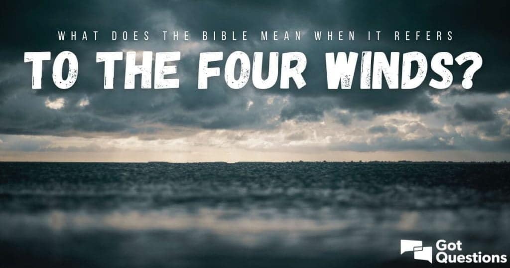 best four winds discussion questions