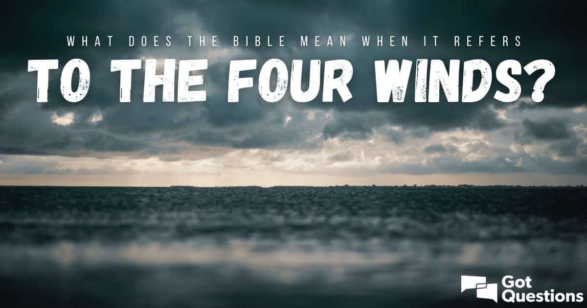 best four winds discussion questions