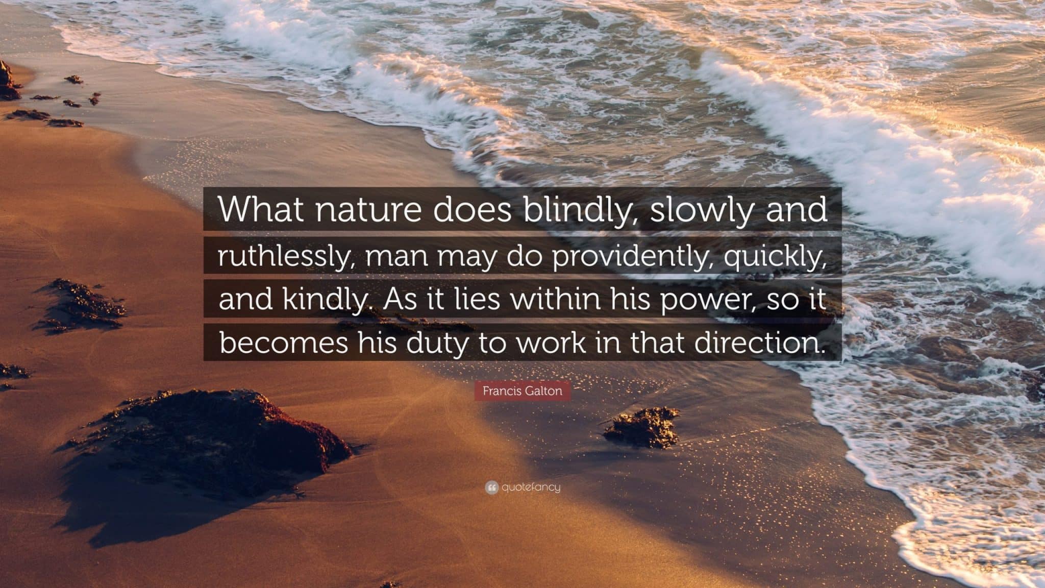 best francis galton quotes scaled