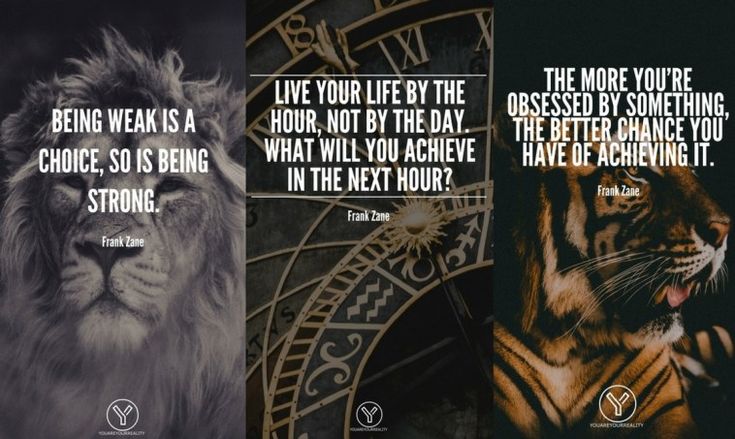 best frank zane quotes