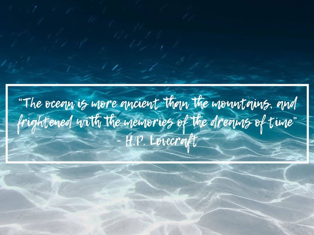 best freediving quotes