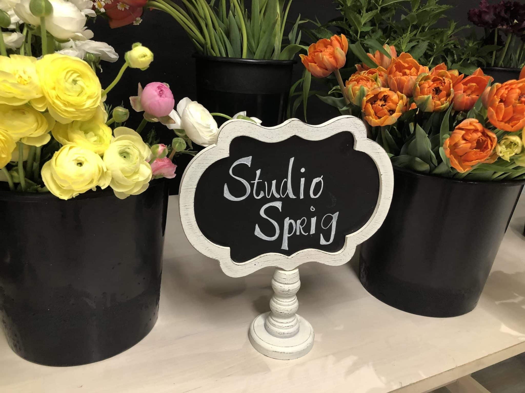 best fresh water for flowers book club questions