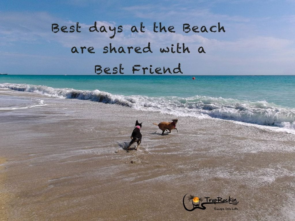 best friend beach quotes