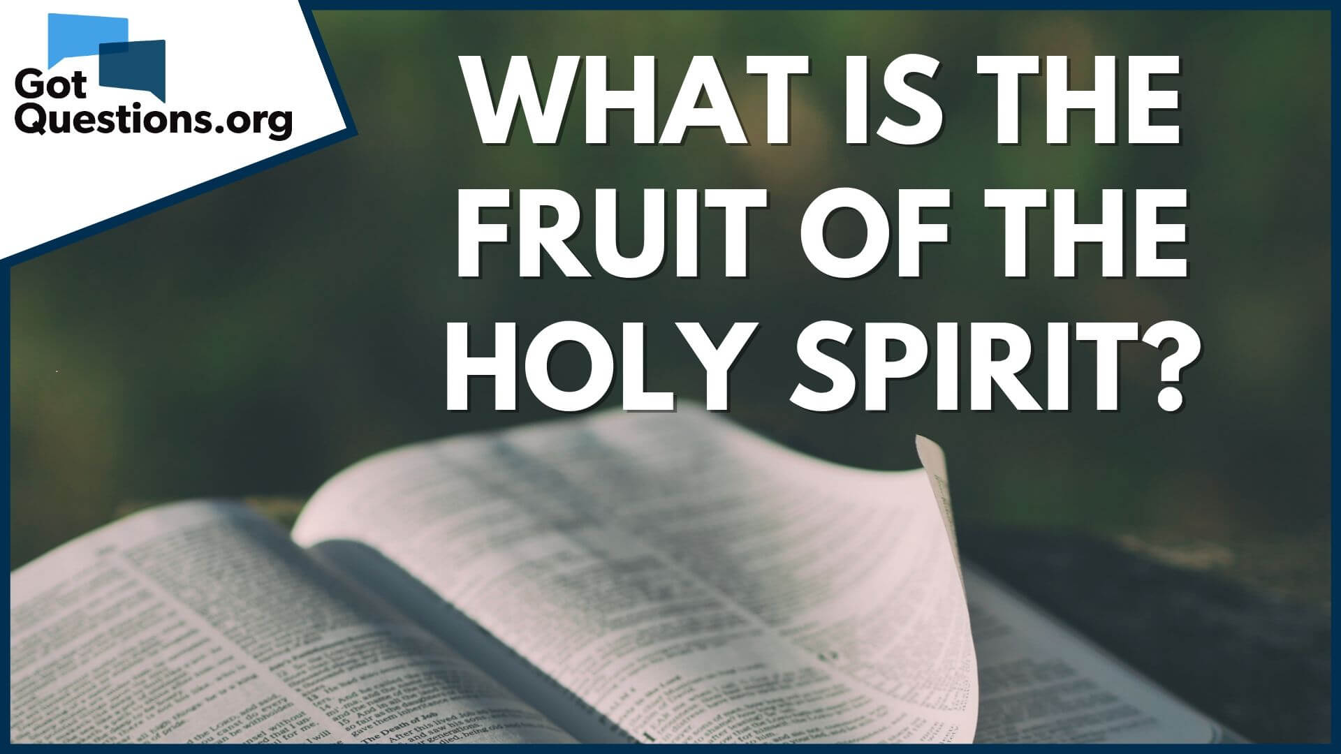 best fruit of the spirit bible study questions