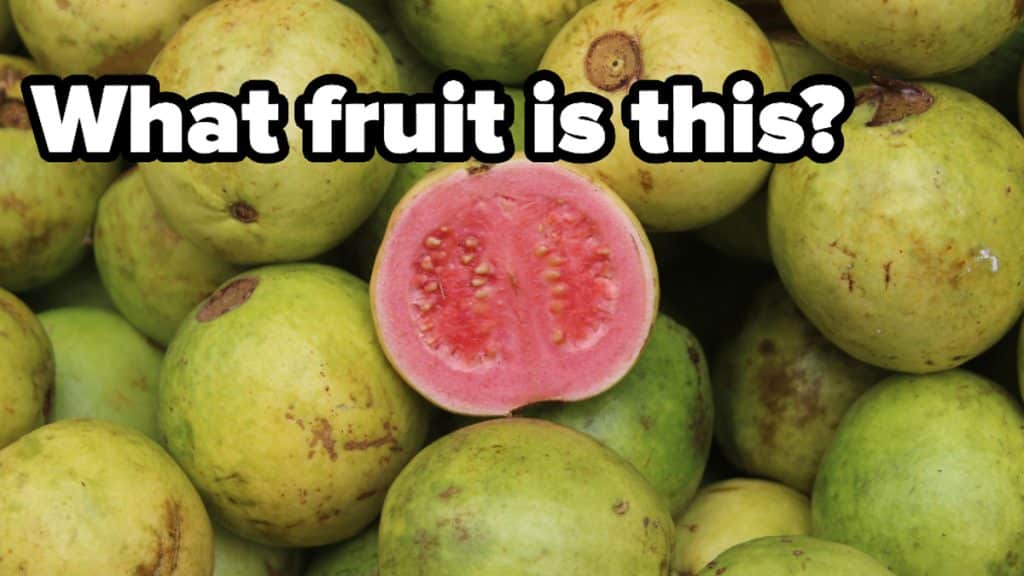best fruit trivia questions and answers