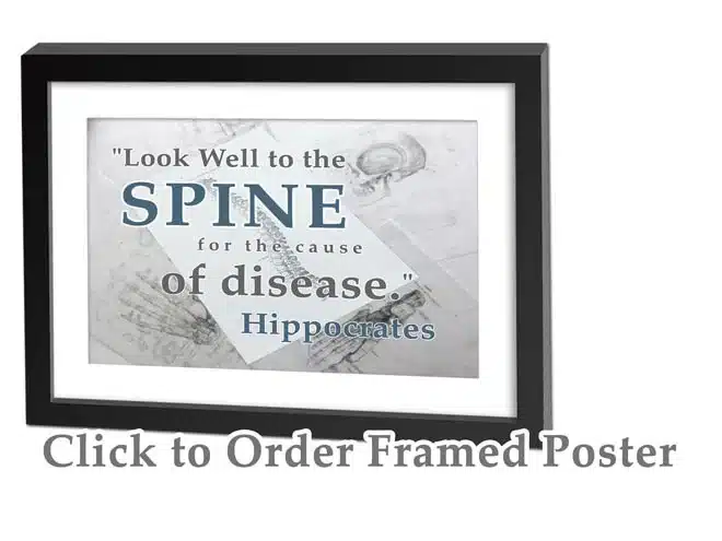 best funny chiropractic quotes