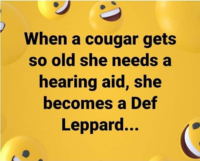 best funny cougar quotes