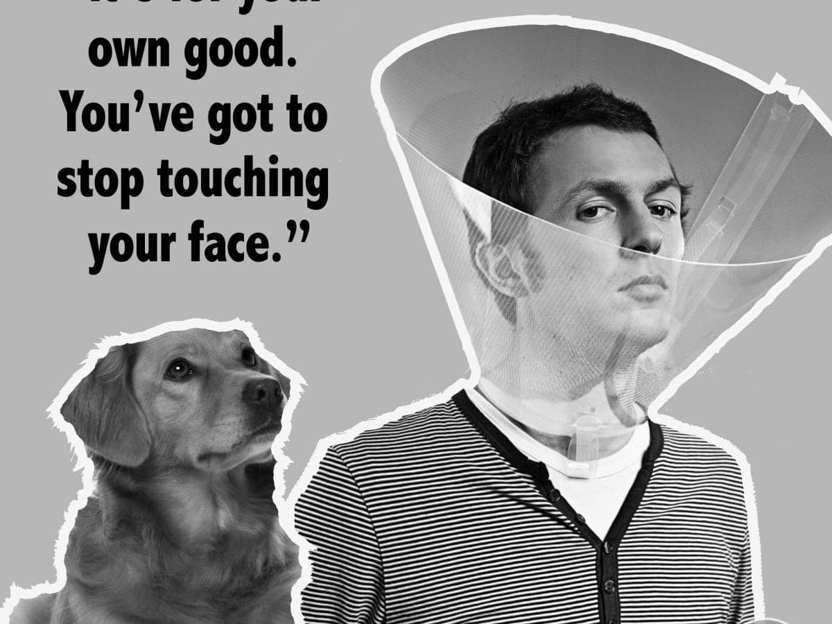 best funny covid quotes