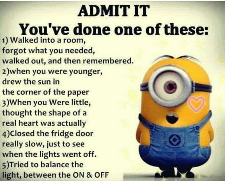 best funny despicable me quotes
