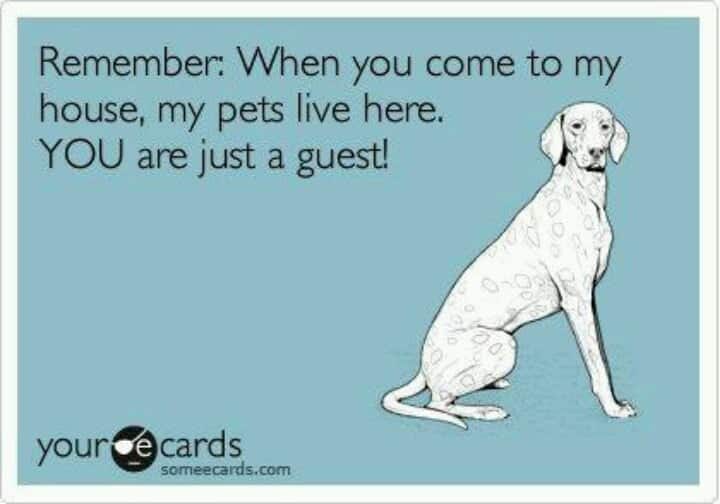 best funny dog sitting quotes