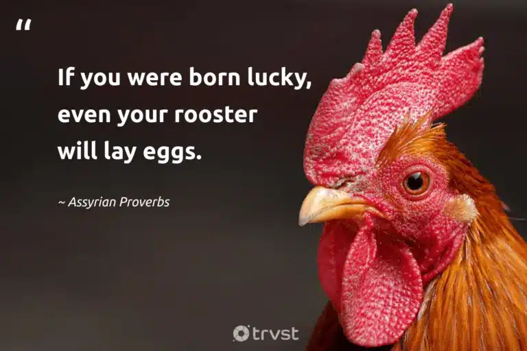 best gamefowl quotes