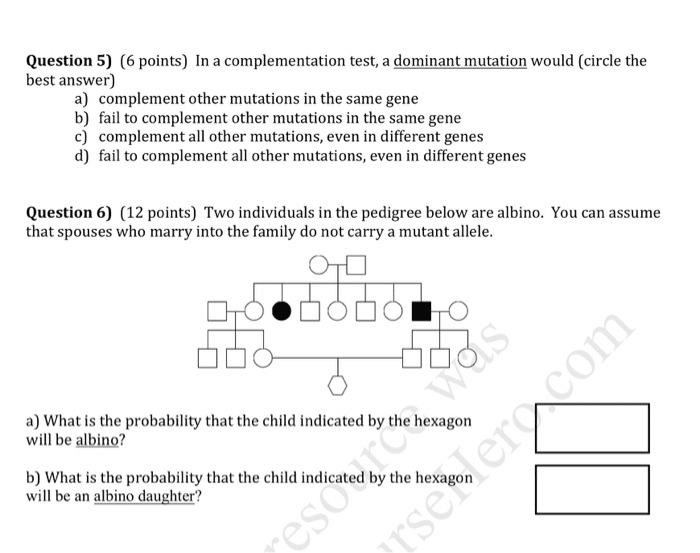 best genetics questions and answers