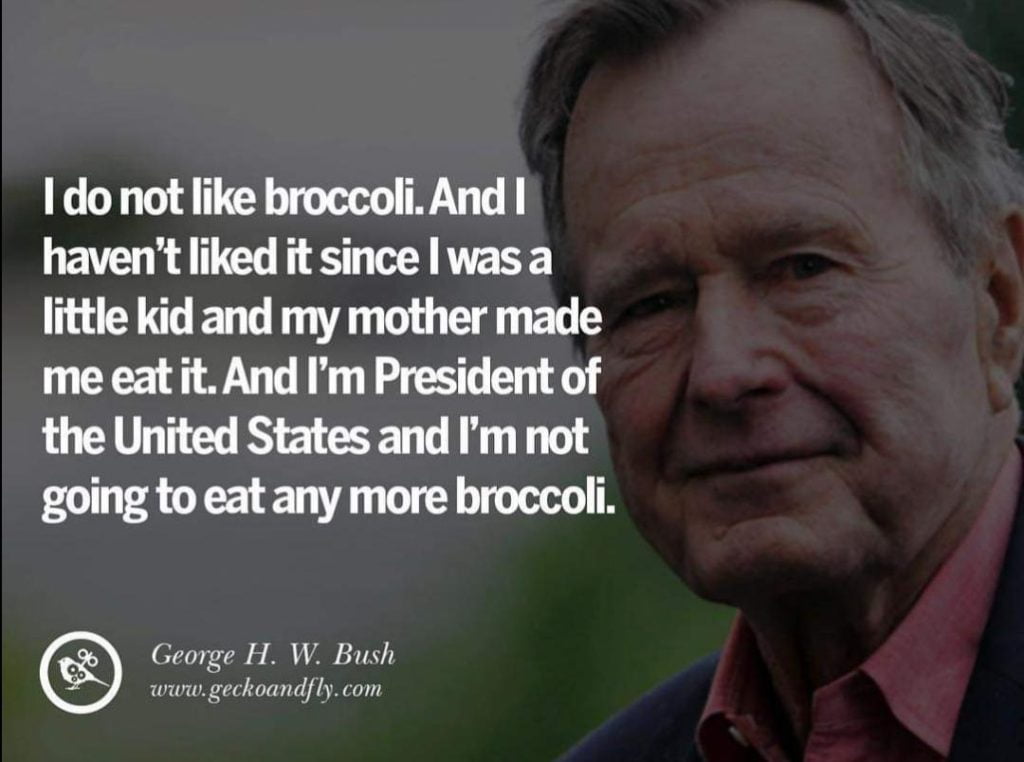 best george w bush dumquotes
