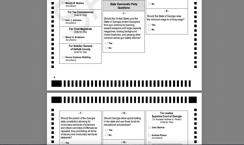 best georgia ballot questions