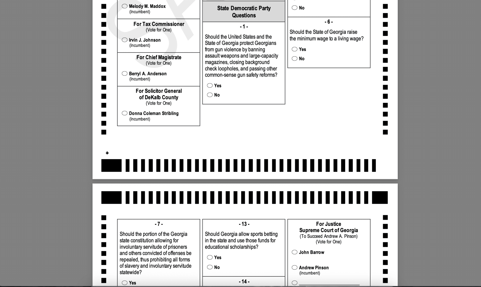 best georgia ballot questions