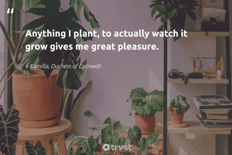 best giving a plant as a gift quotes