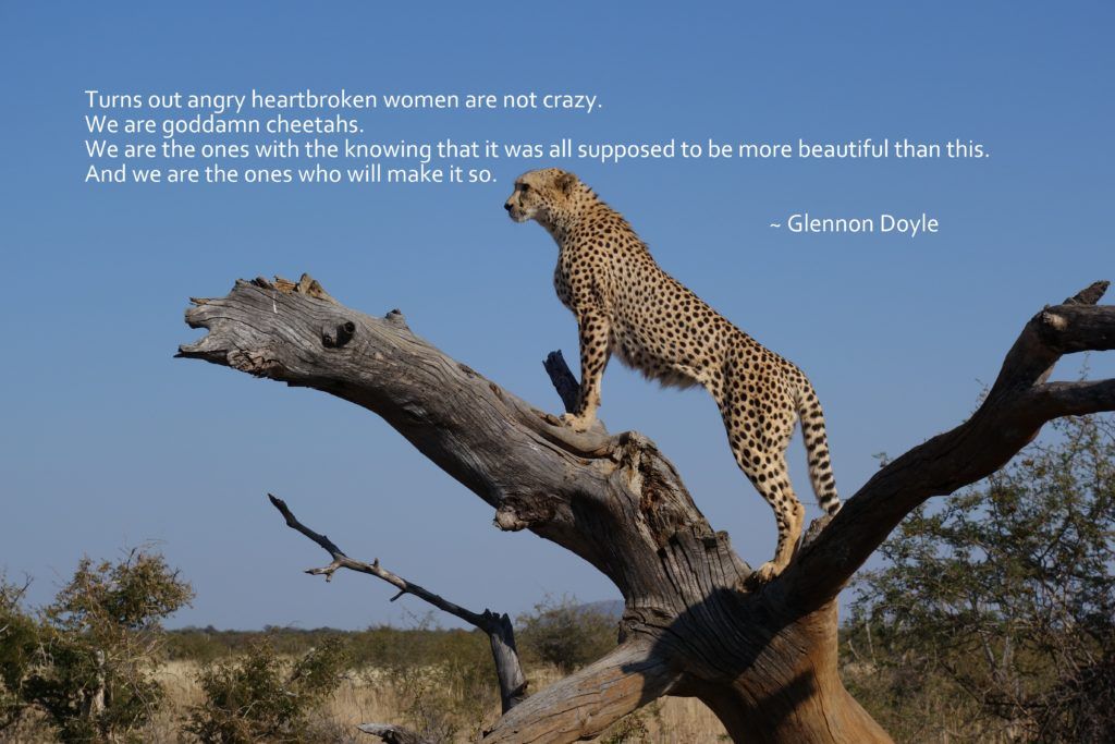 best glennon doyle cheetah quotes