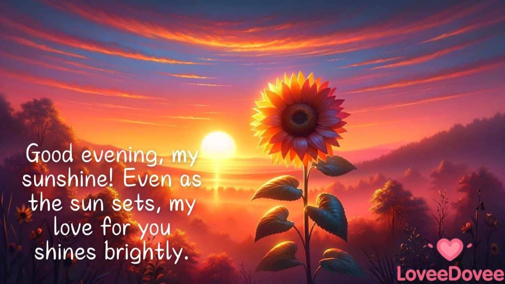 best good evening quotes for her