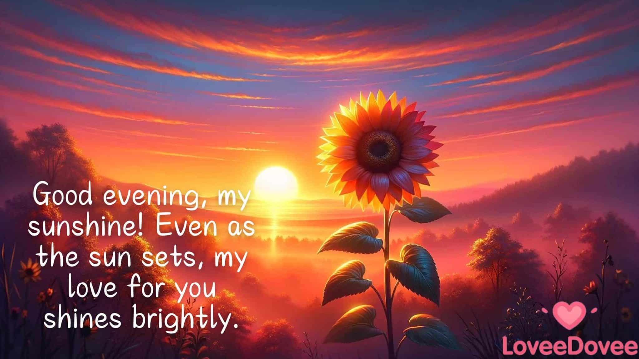 best good evening quotes for love