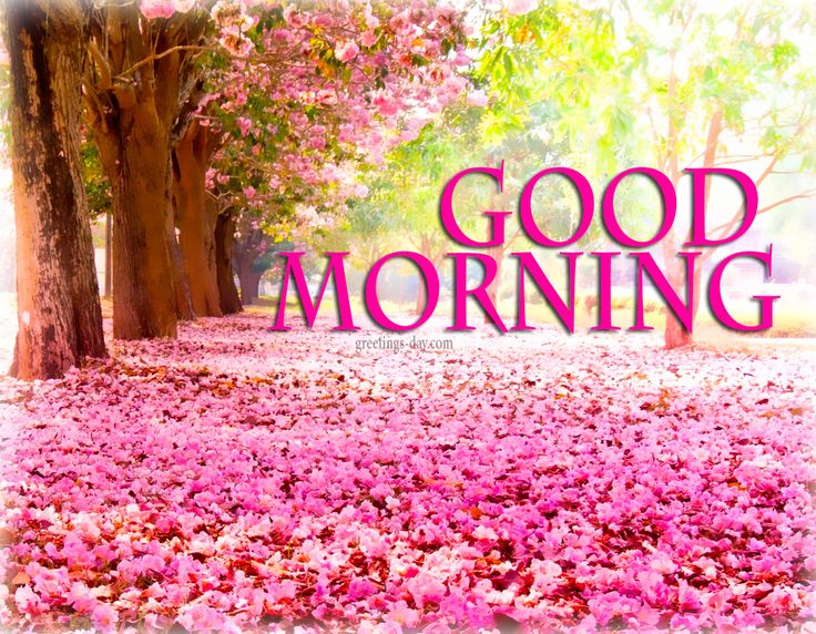 best good morning cartoon with quotes