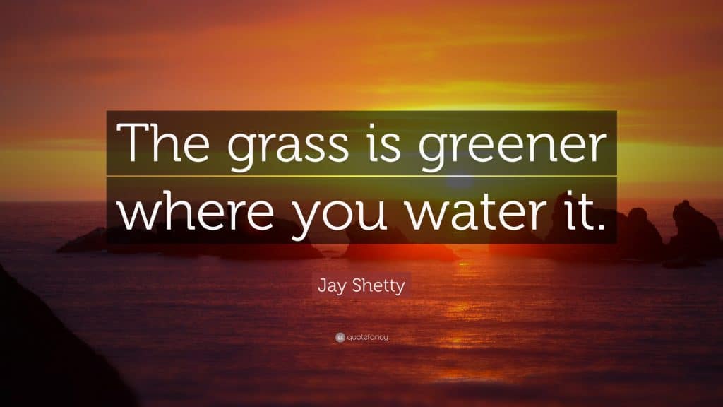 best grass is greener where you water it quotes scaled
