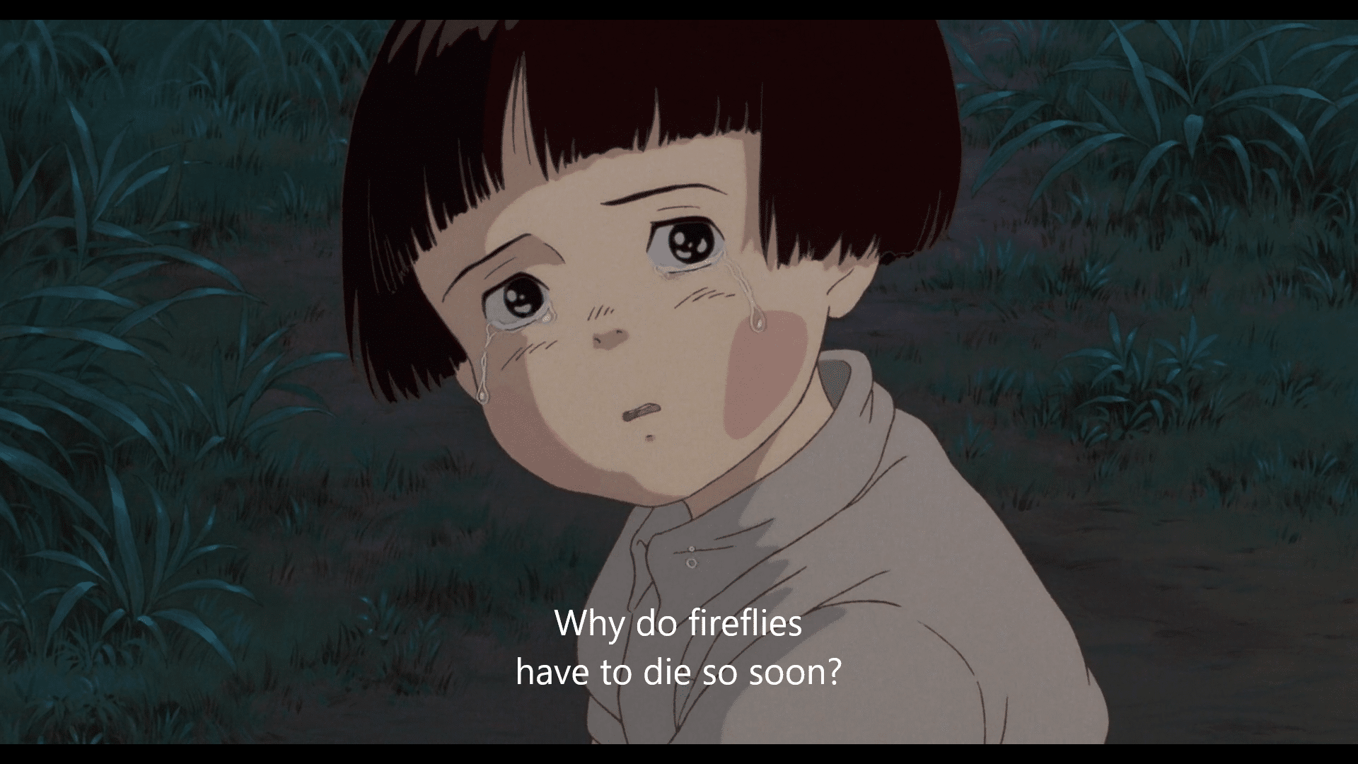 best grave of the fireflies quotes
