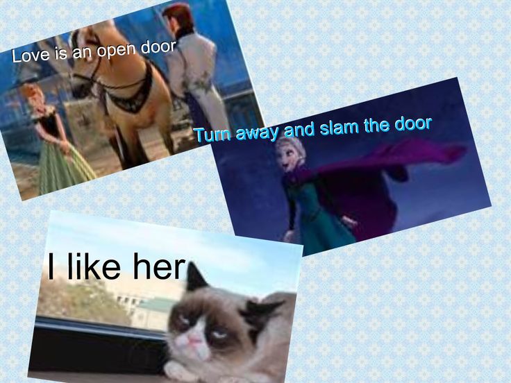 best grumpy cat quotes frozen love is an open door