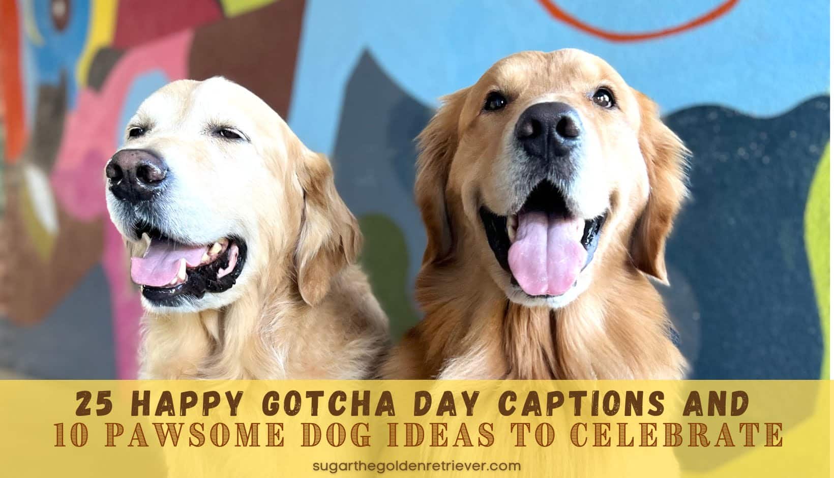 best happy gotcha day quotes dog