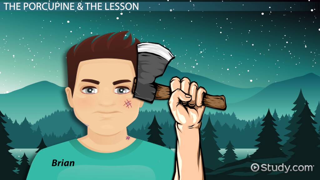 best hatchet chapter 8 questions