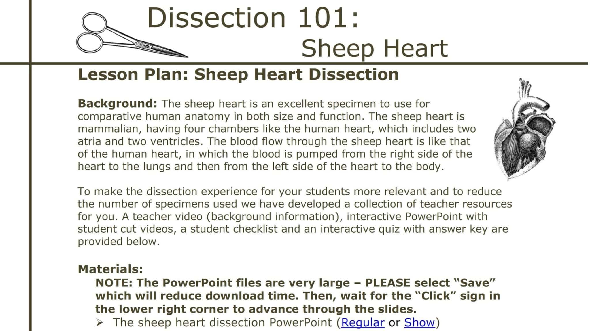 best heart dissection questions answers scaled