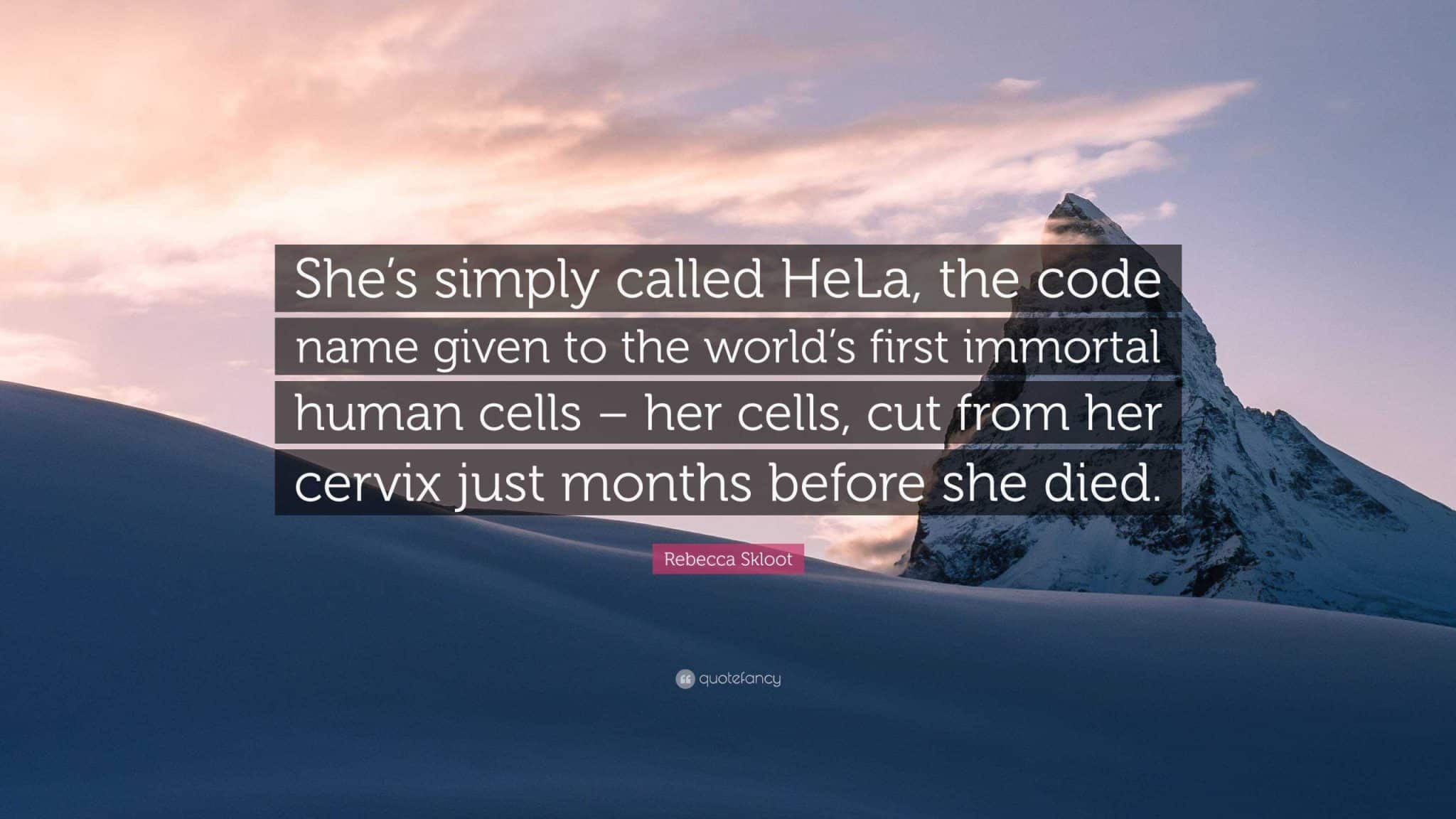 best hela quotes scaled