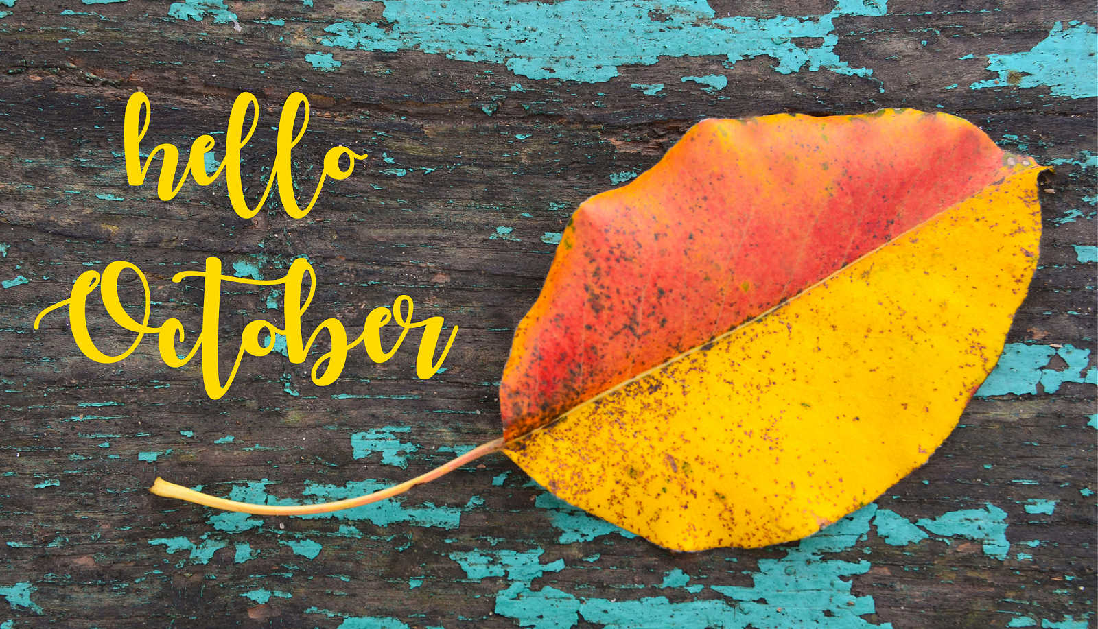 best hello autumn quotes