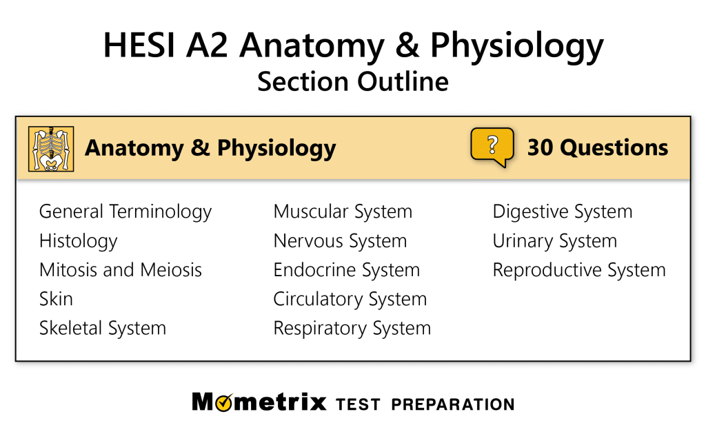best hesi a2 anatomy practice questions