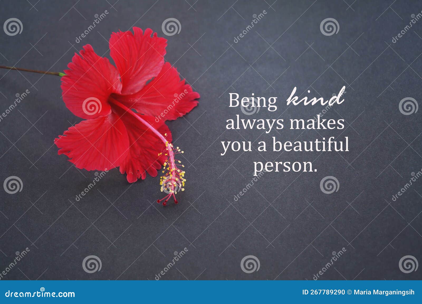 best hibiscus flower quotes