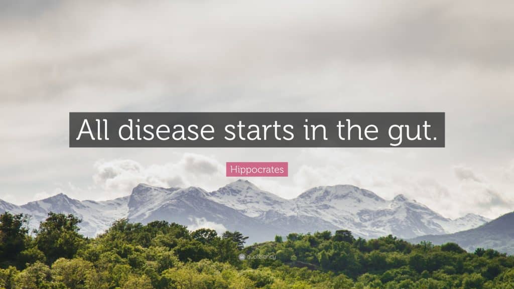 best hippocrates quotes all disease begins in the gut scaled