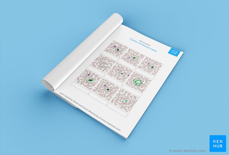 best histology questions