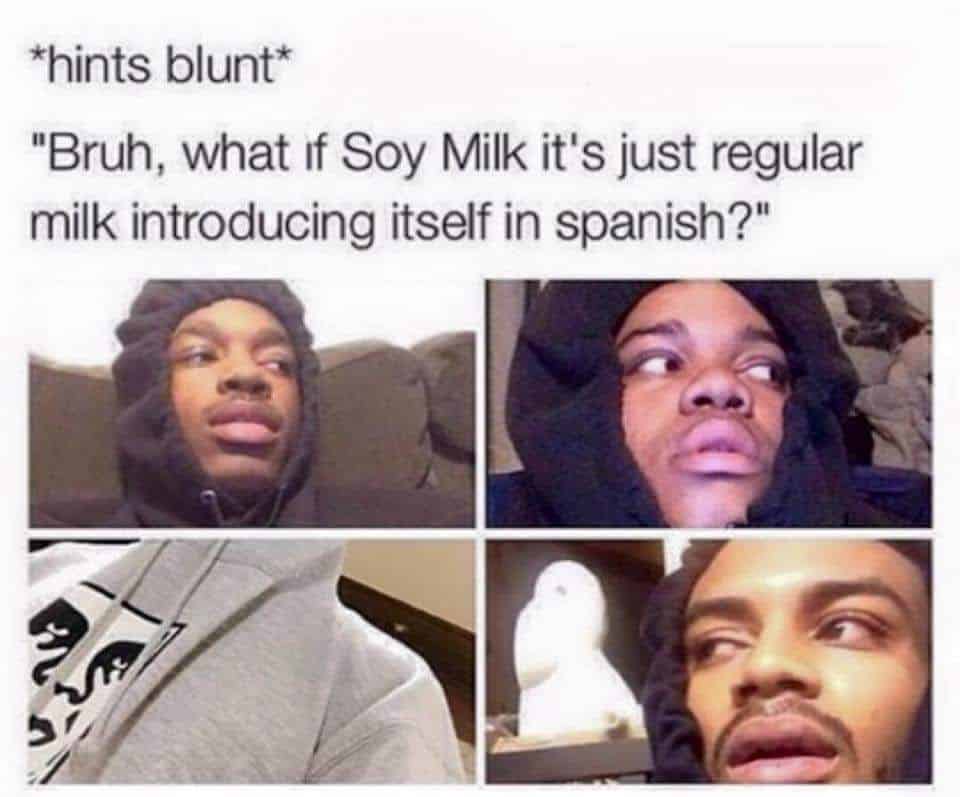 best hit blunt quotes