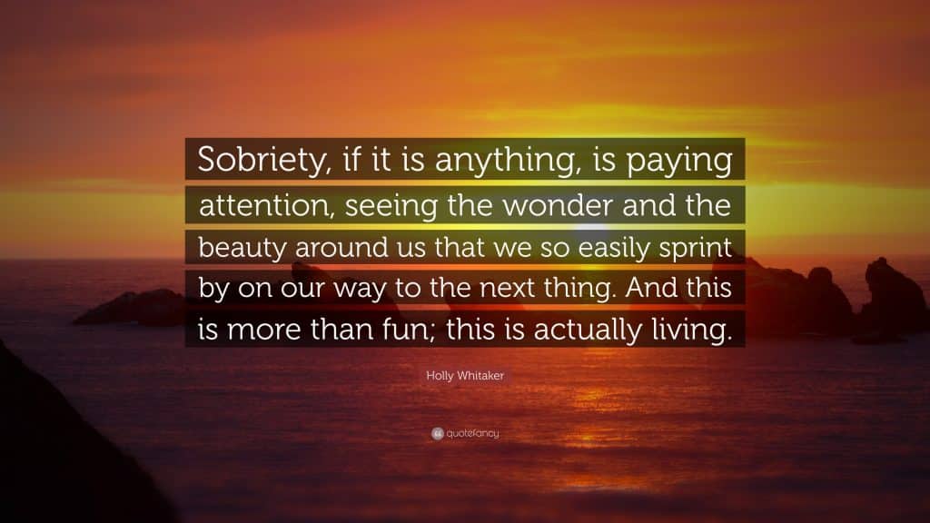 best holly whitaker quotes scaled