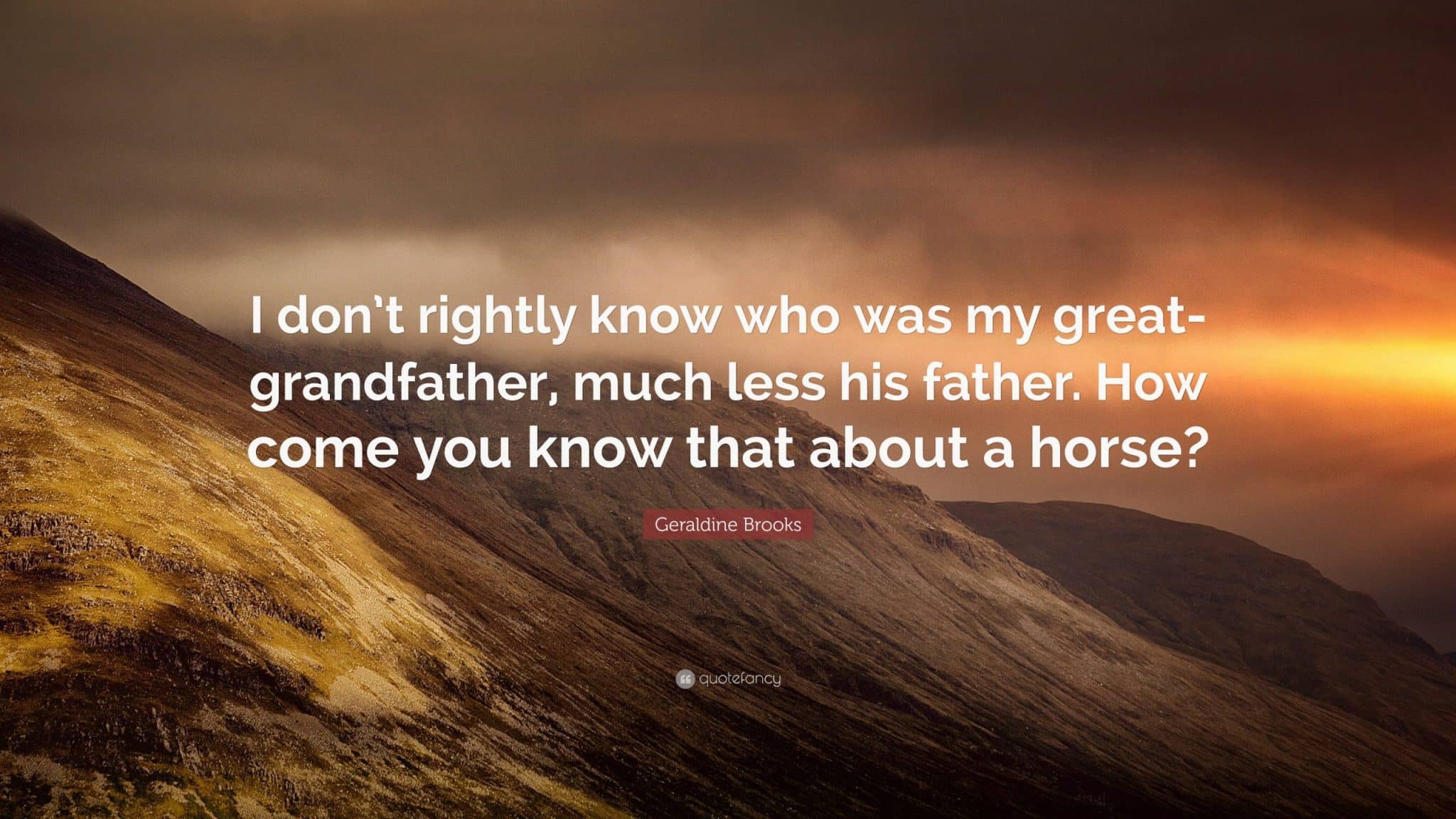 best horse geraldine brooks quotes scaled