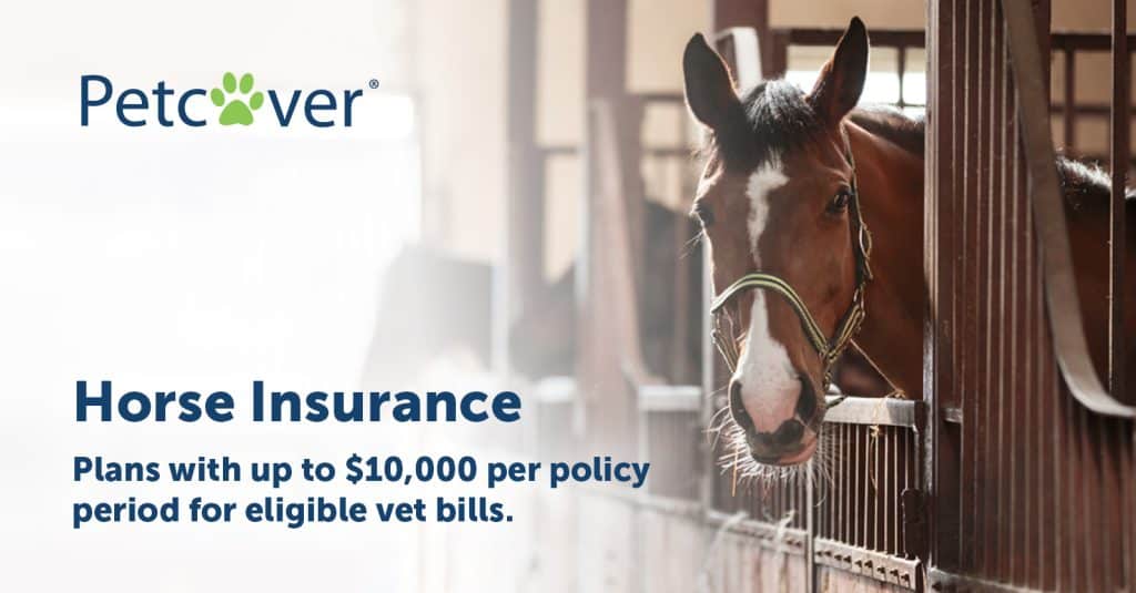 best horse insurance quotes