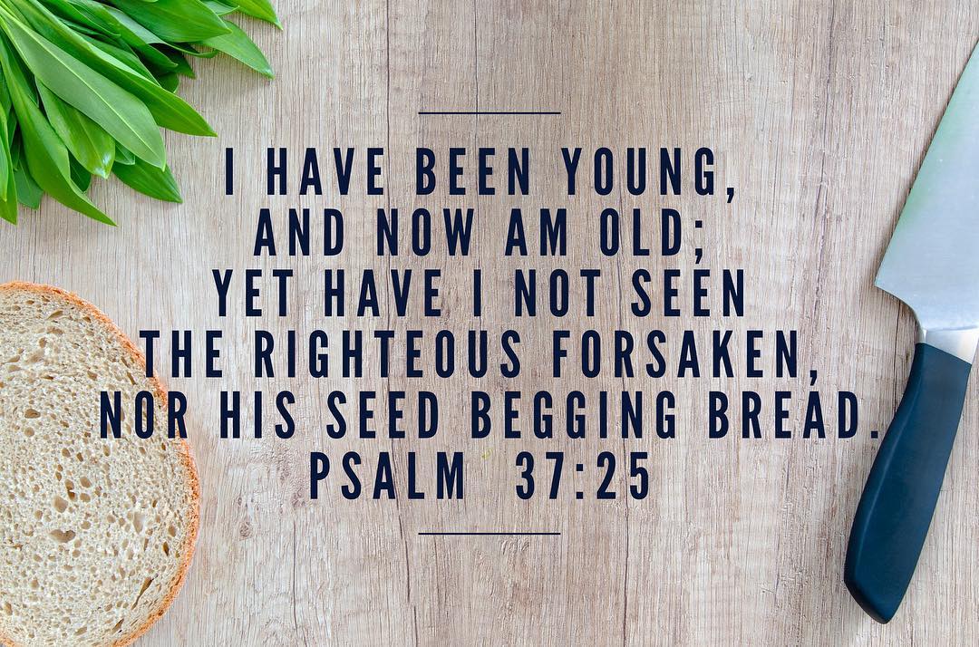 best i have never seen the righteous forsaken quotes