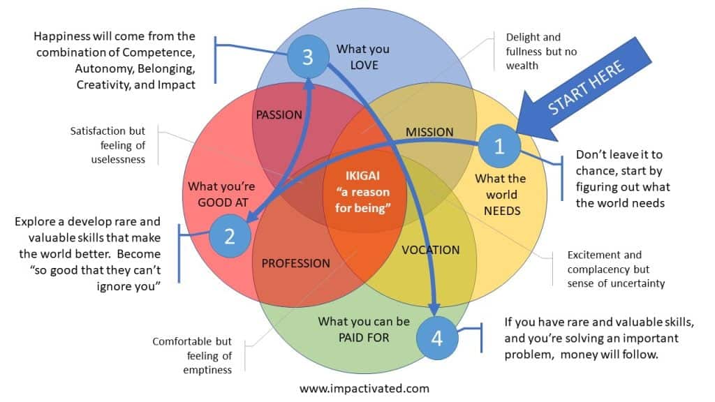 best ikigai questions
