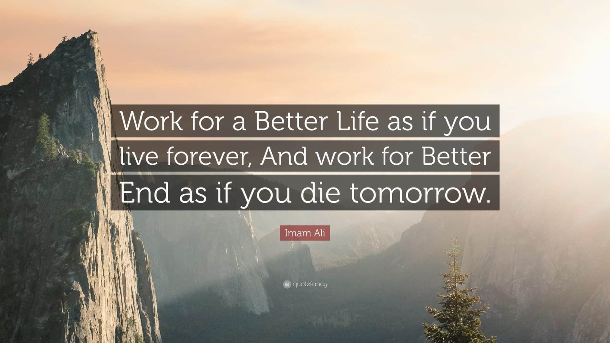 best imam ali quotes in english scaled