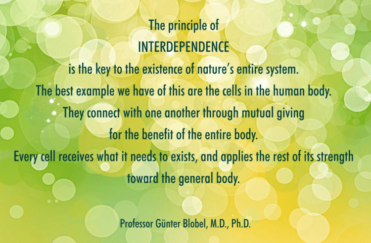 best interdependence quotes