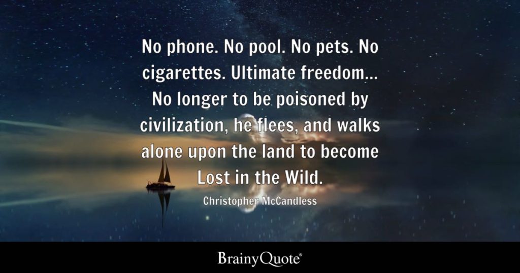 best into the wild quotes about society