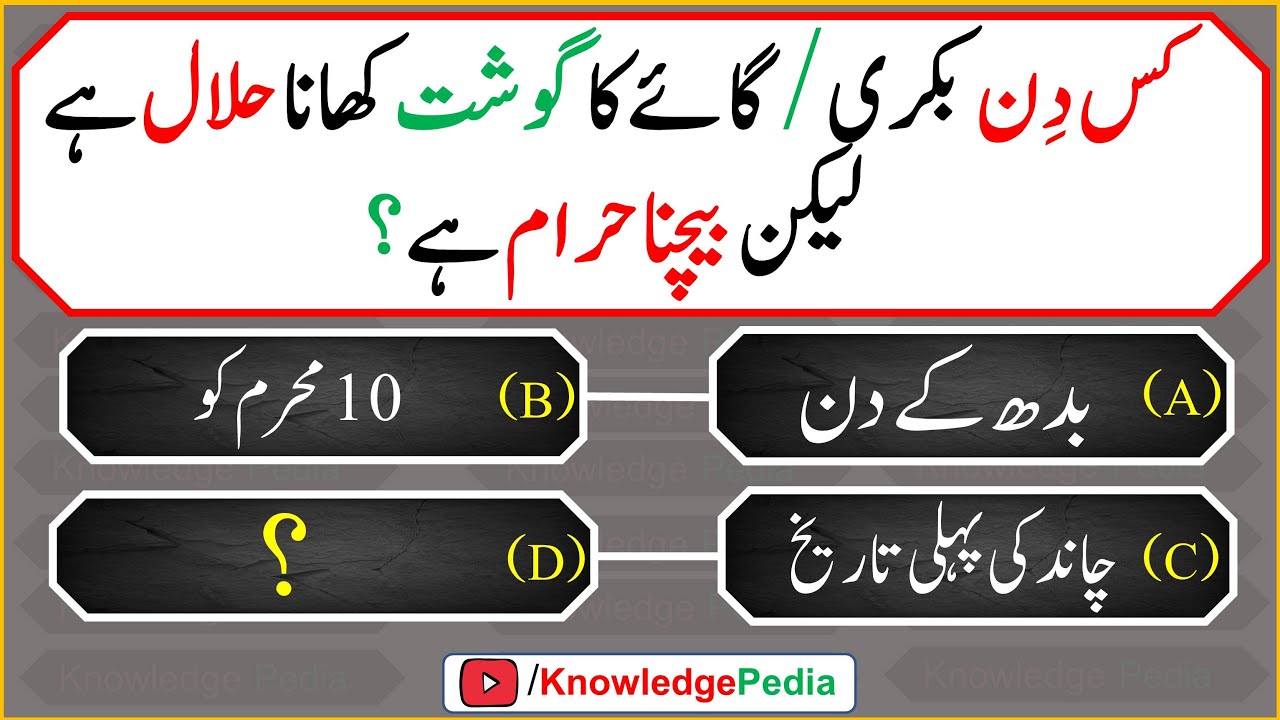 best islamic questions and answers