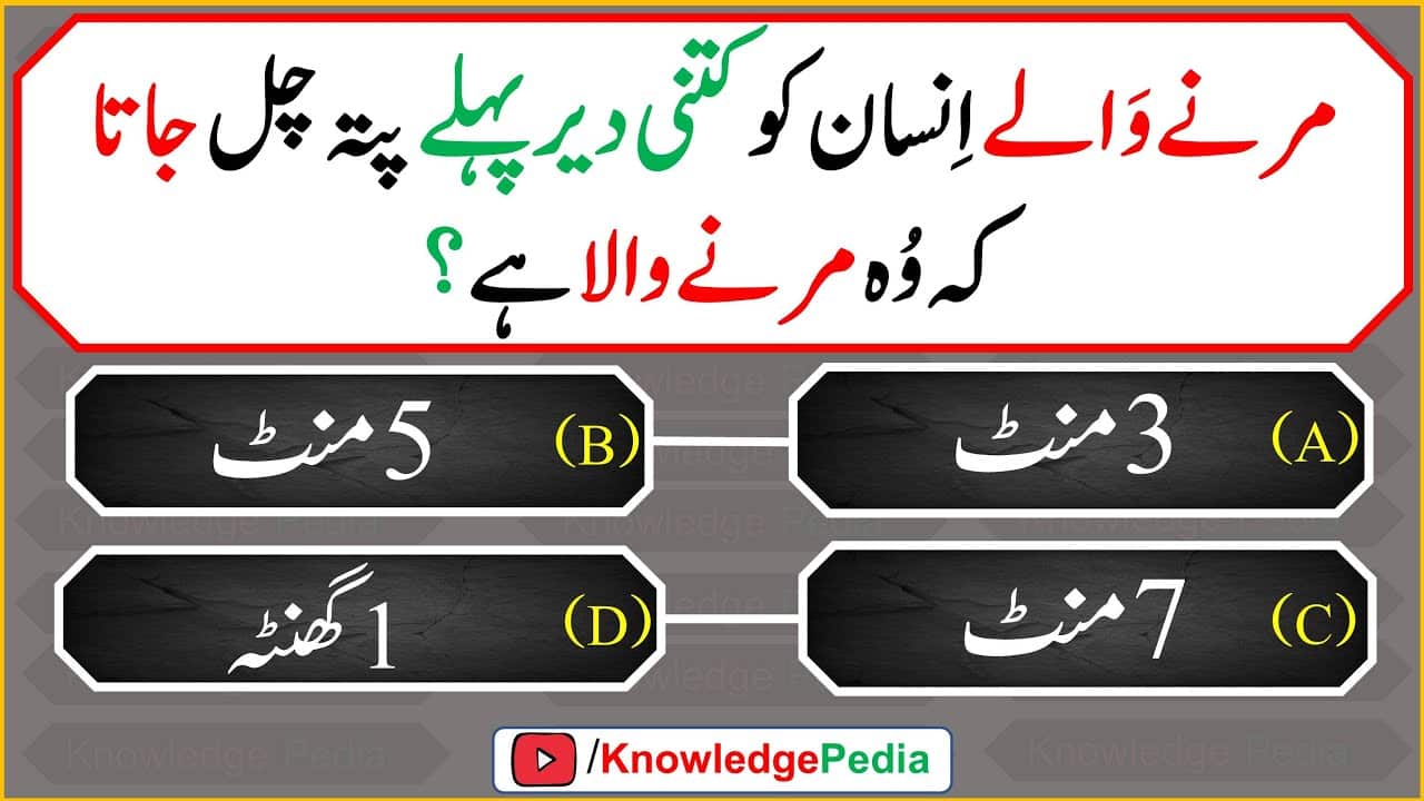 best islamic questions with answers