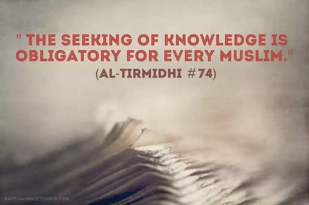 best islamic quotes about education