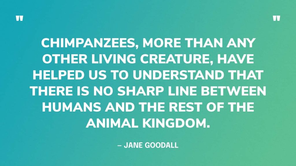 best jane goodall quotes about chimpanzees